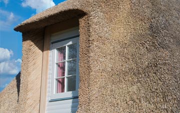 Trefonen thatch roof disadvantages